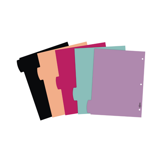 PAPER DIVIDER BTR VS PUPPIES 5T