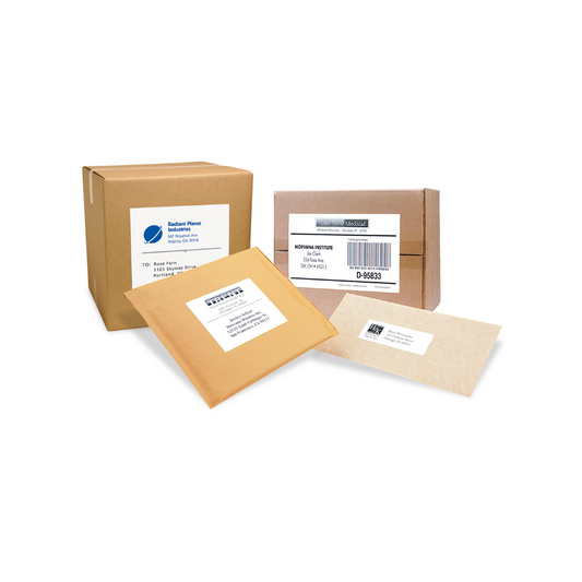 ETIQUETAS P/PRINTER LASER (8.5 X 11) 100/1