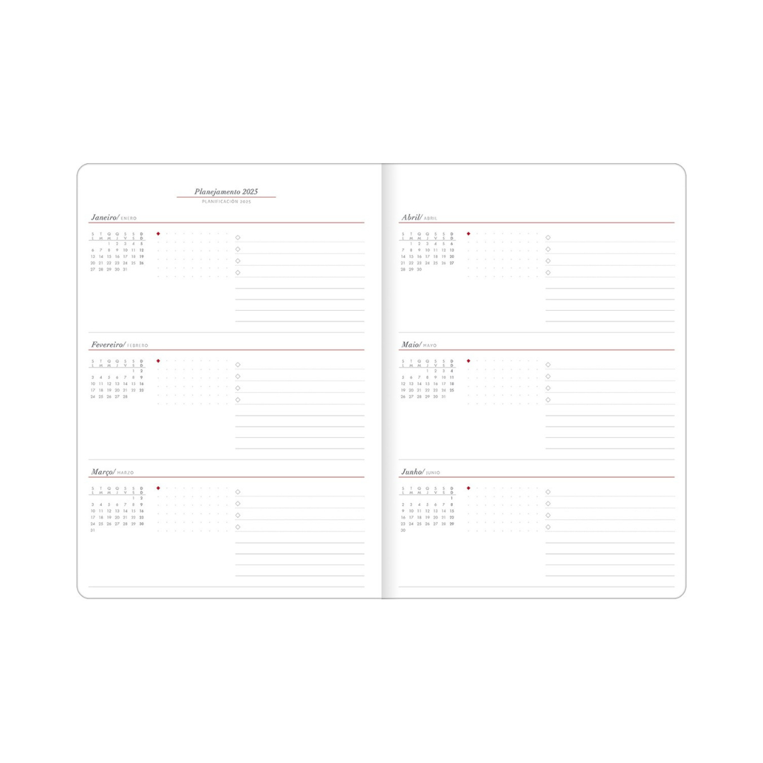 DIARY CAMBRIGE MANAGER M7