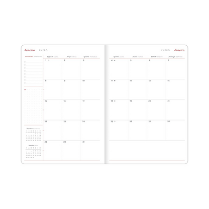 DIARY CAMBRIGE MANAGER M7