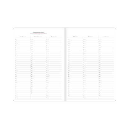 DIARY CAMBRIGE MANAGER M7