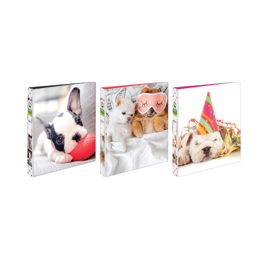 PP BINDER FSHN BALL PUP 1" EC