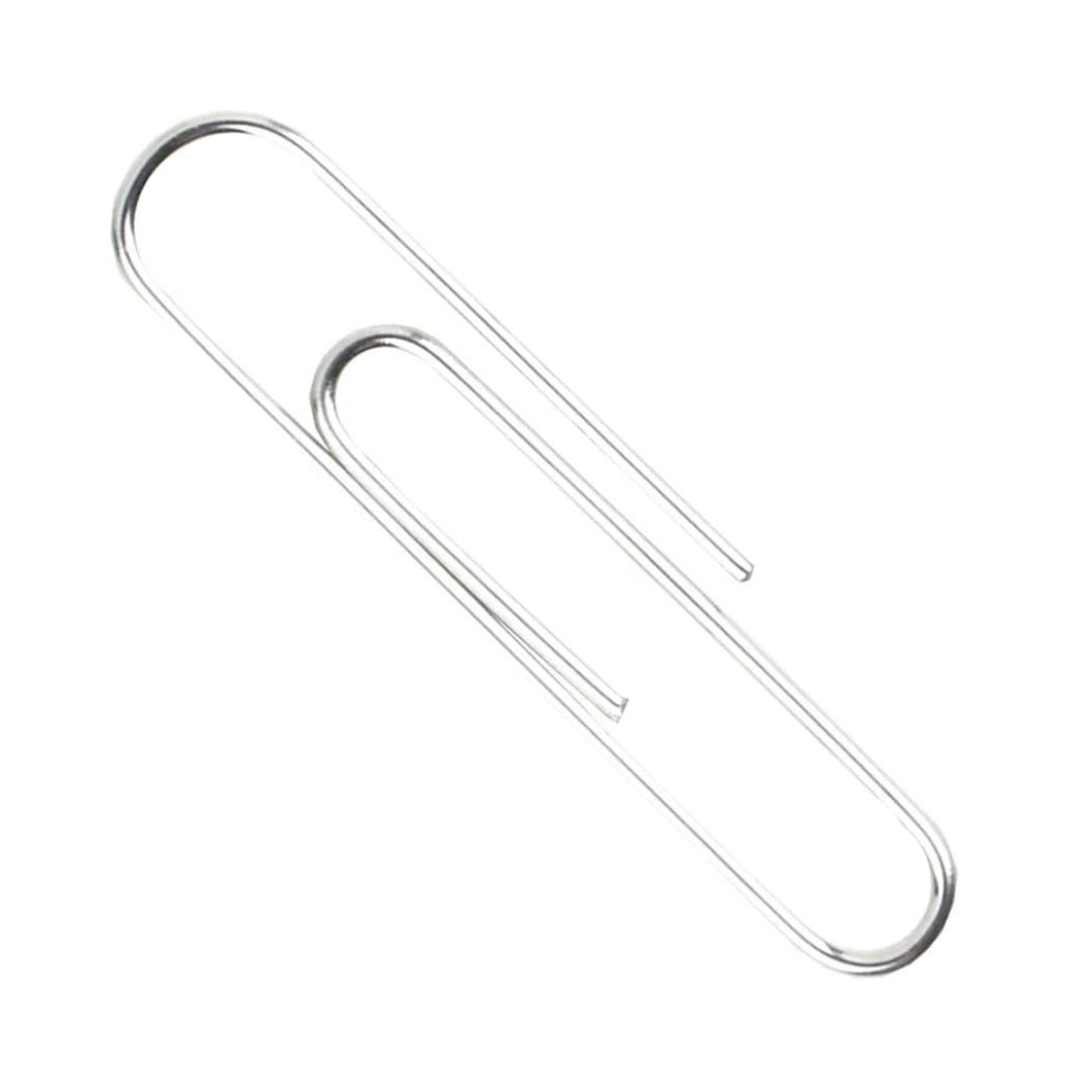 RECYCLED PAPER CLIPS #1