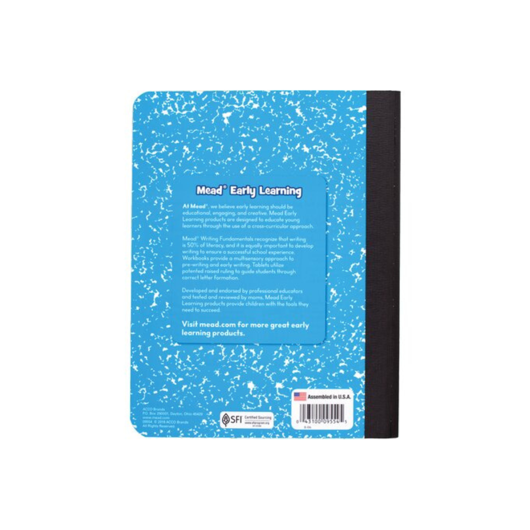 WRITING FUNDAMENTALS GRADE 2